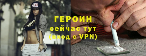 гидра Карпинск