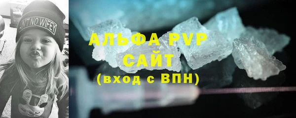 гидра Карпинск