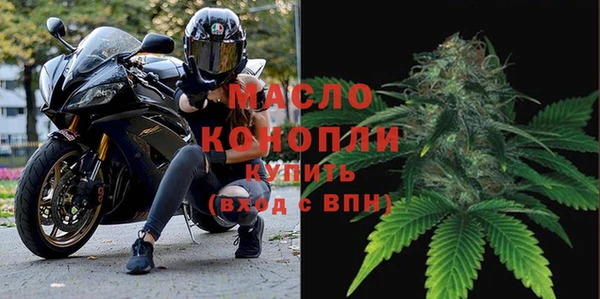 гидра Карпинск