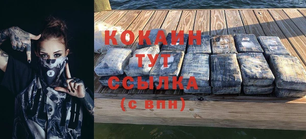 гидра Карпинск