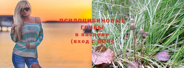 apvp Карталы