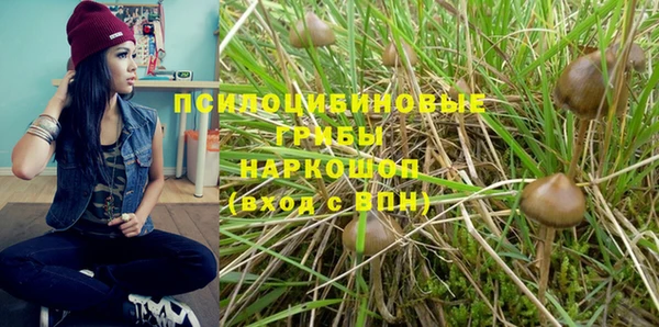 гидра Карпинск