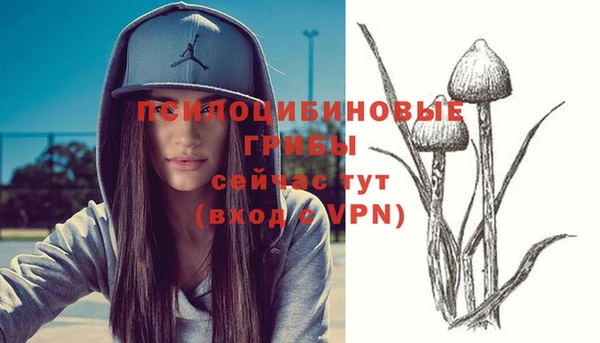 apvp Карталы