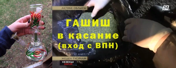 гидра Карпинск