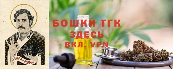 гидра Карпинск