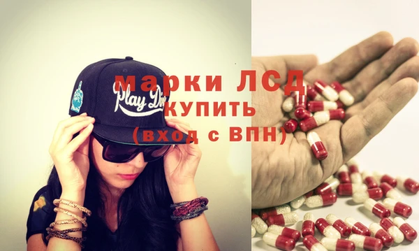 гидра Карпинск