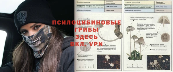 гидра Карпинск
