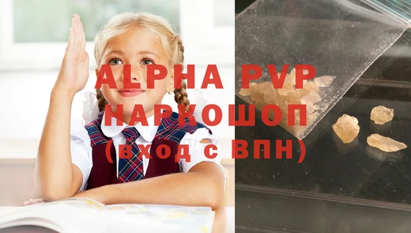 гидра Карпинск