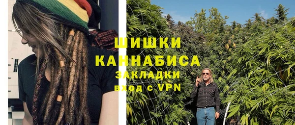 ПСИЛОЦИБИНОВЫЕ ГРИБЫ Касимов